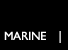 MARINE